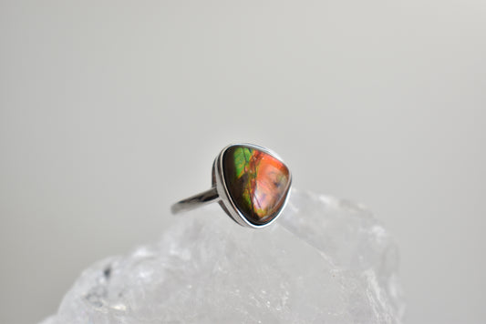 Ammonite Sterling Sliver Ring Adjustable