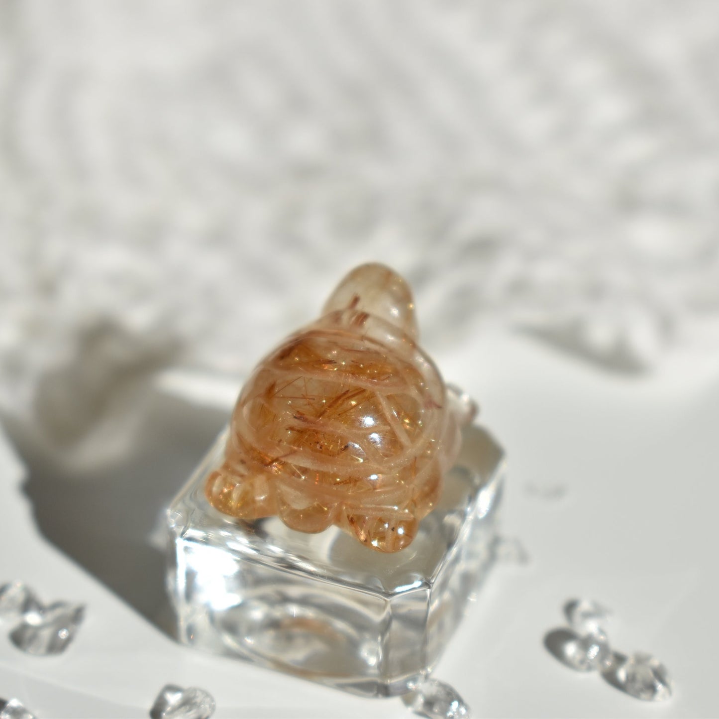 Golden Rutile Turtle #1