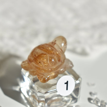 Golden Rutile Turtle #1
