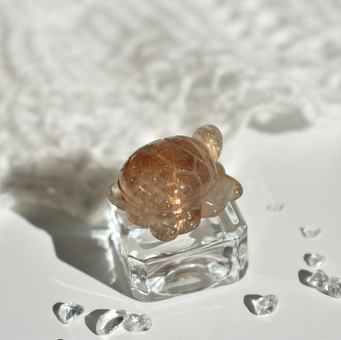 Golden Rutile Turtle #2