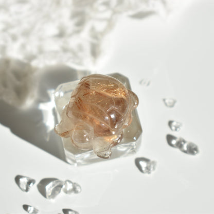 Golden Rutile Turtle #2