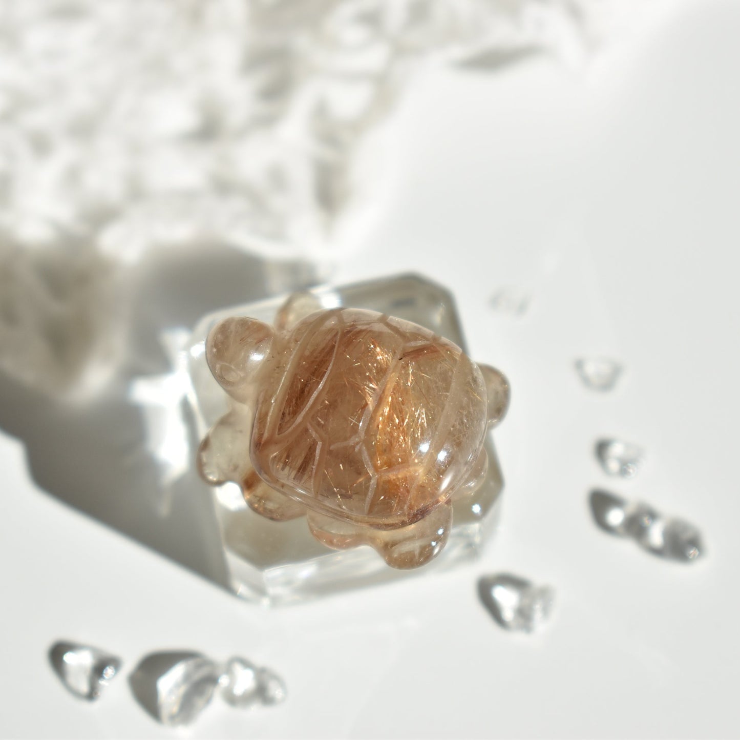 Golden Rutile Turtle #2
