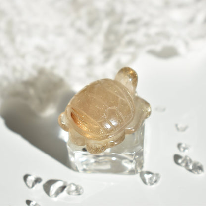 Golden Rutile Turtle #3