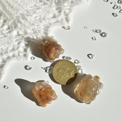 Golden Rutile Turtle #2