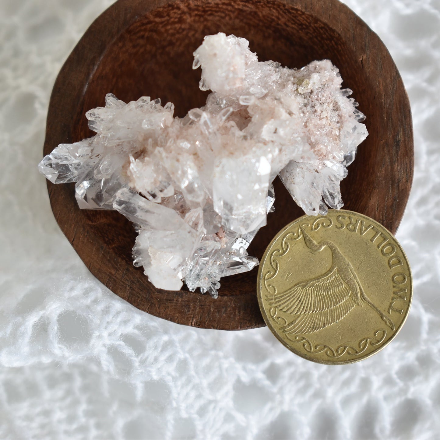 Pink Himalayan Cluster