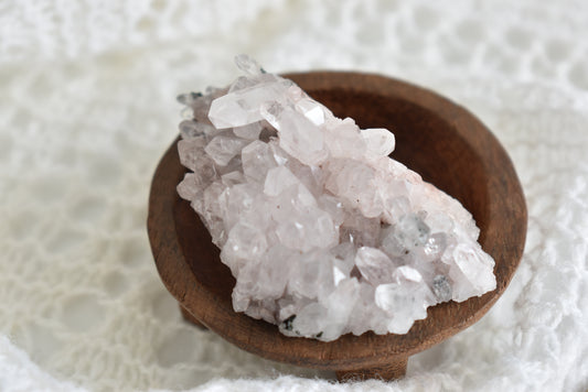 Pink Himalayan Cluster