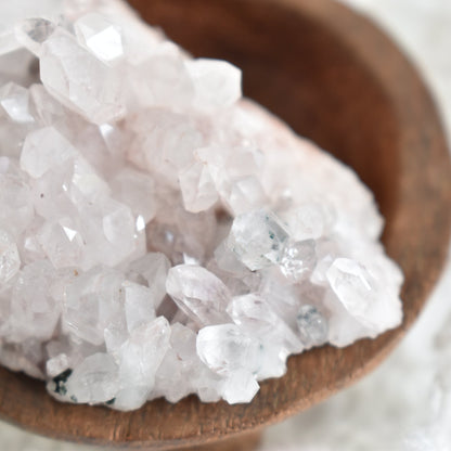 Pink Himalayan Cluster