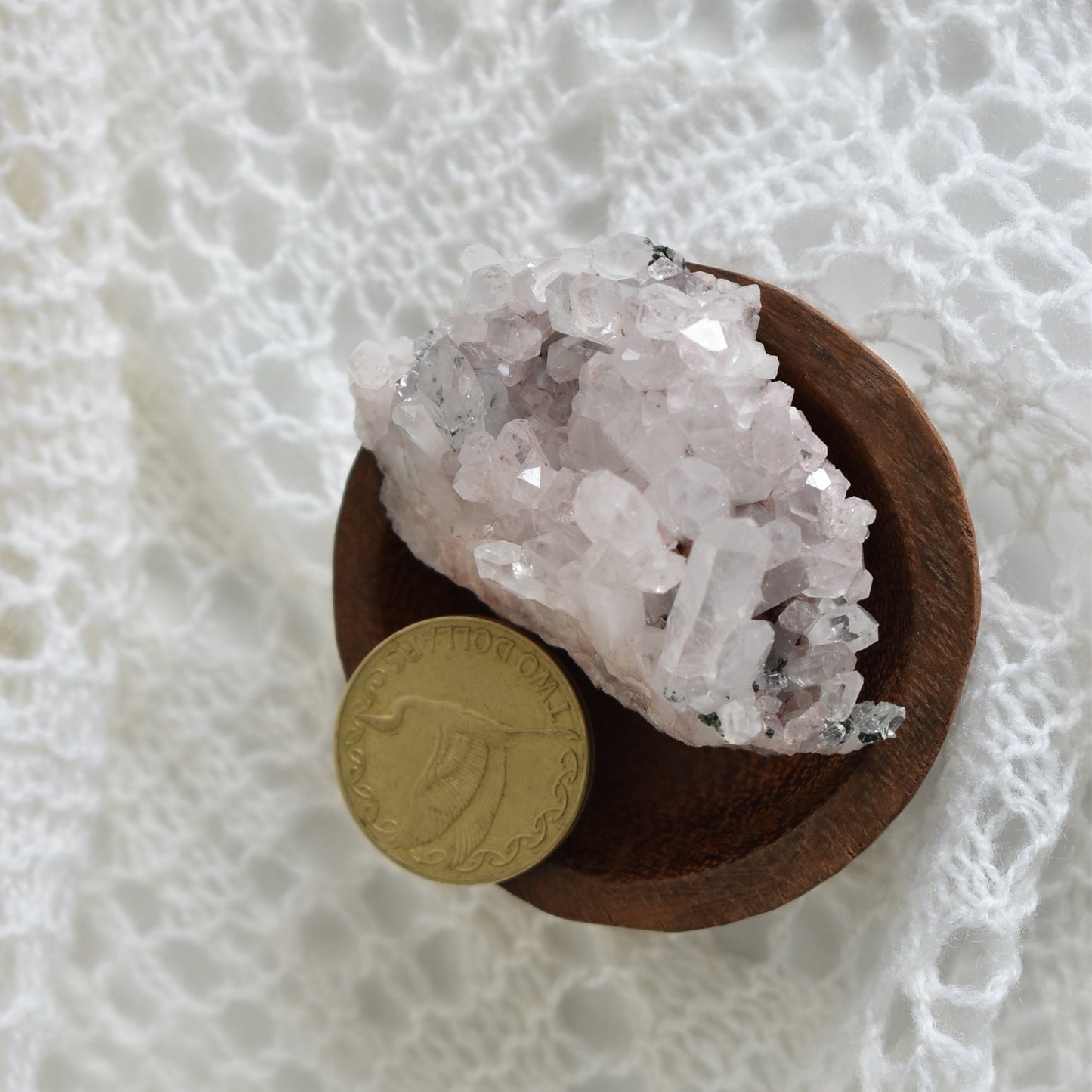 Pink Himalayan Cluster