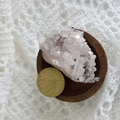 Pink Himalayan Cluster