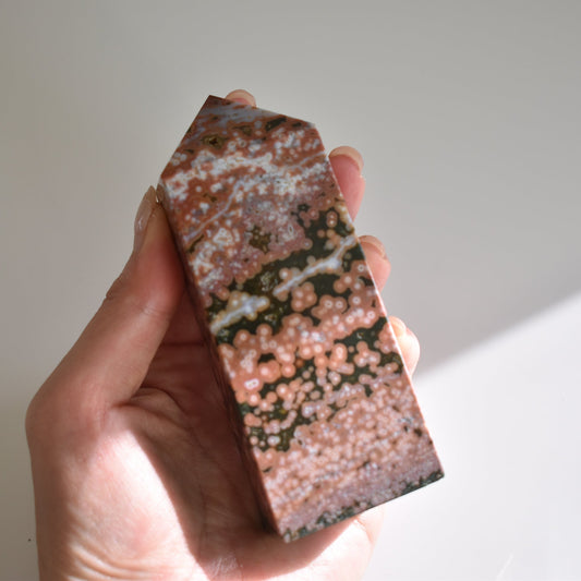 Old Stock Orbicular Ocean Jasper Point 267g