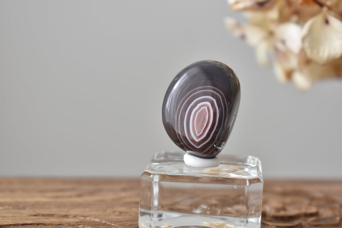 Botswana Agate #7