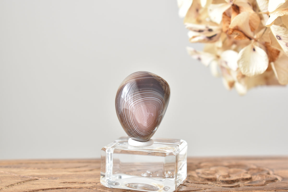 Botswana Agate #5