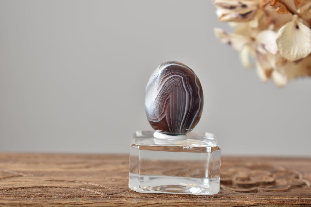 Botswana Agate #2