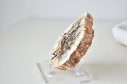 Petrified Wood #2 86g