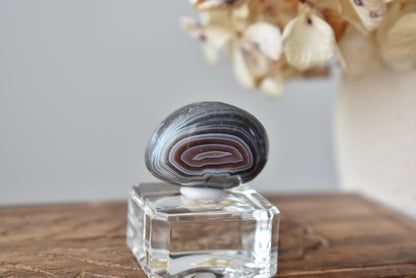 Botswana Agate #4