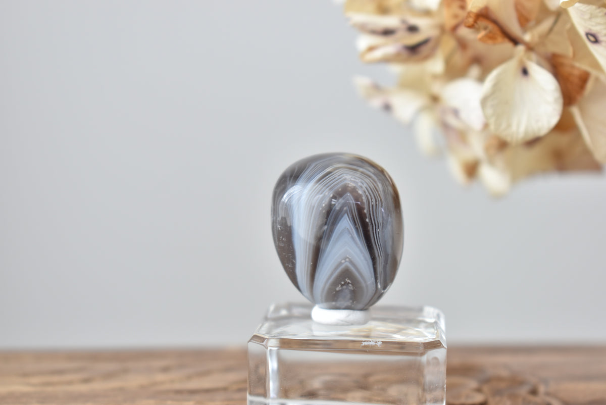 Botswana Agate #11