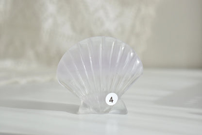 Lavender Fluorite Sea Shell #4