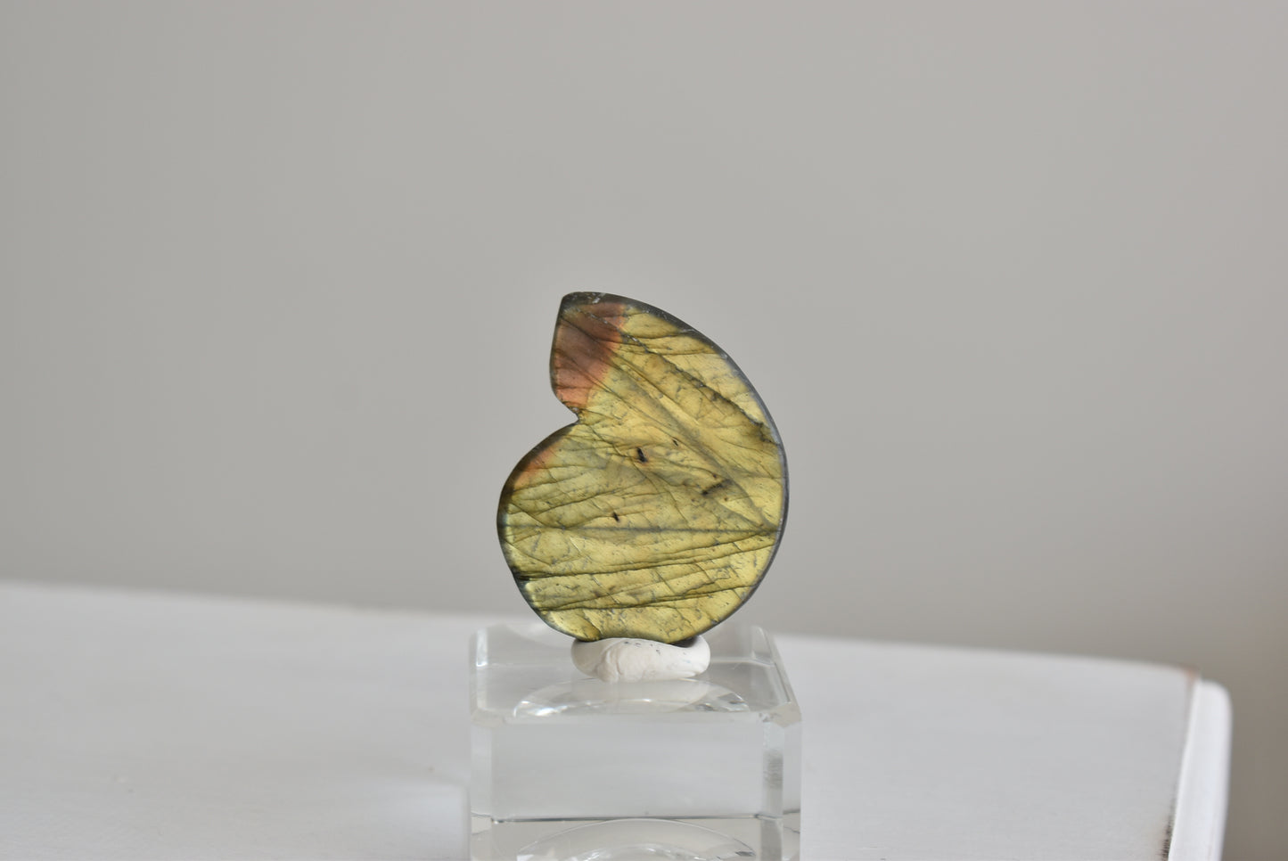 Labradorite Snail Shell  #2