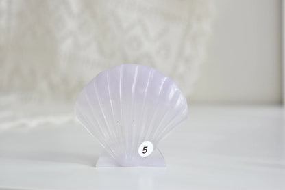 Lavender Fluorite Sea Shell #5
