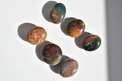 Ocean Jasper Palmstone (small)