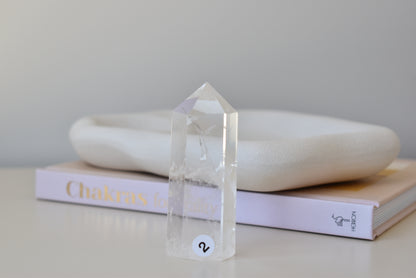 (Extremely Rare) Red Angel Feather Phantom Clear Quartz Point #2 (video)
