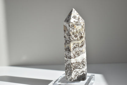 Dendritic Calcite Point