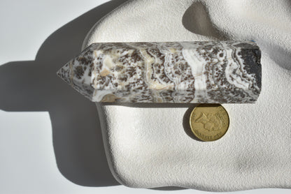 Dendritic Calcite Point