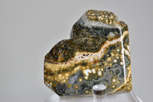 Orbicular Ocean Jasper Heart #3