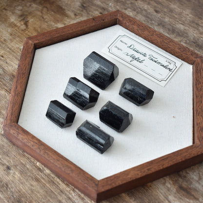 Nepal Dravite Tourmaline
