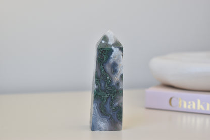 Moss Agate Point small 66g