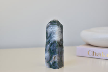 Moss Agate Point small 66g