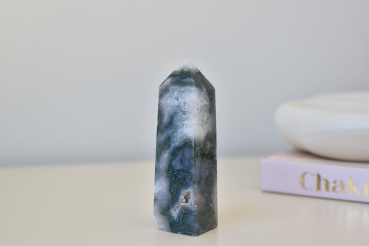 Moss Agate Point small 66g