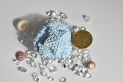 Blue Aventurine Starfish