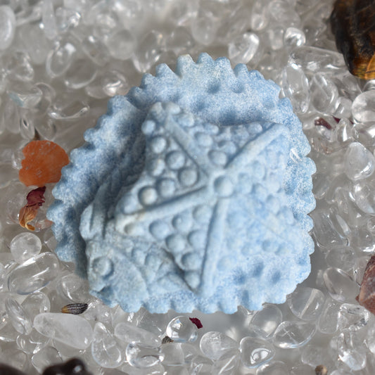 Blue Aventurine Starfish