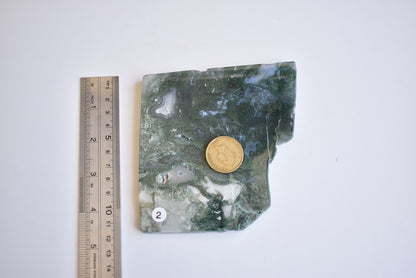 Moss Agate Slab #2 299g