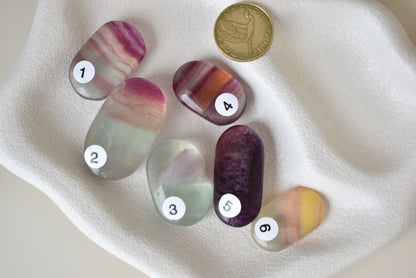 HG Fluorite Palms