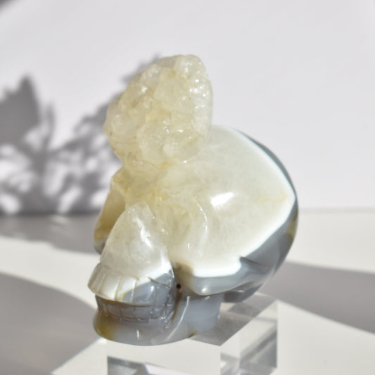 Large Agate Skull Carving with Dendritic 1kg