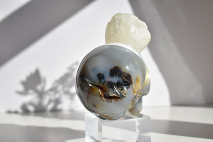 Large Agate Skull Carving with Dendritic 1kg