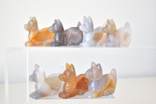 Agate Druzy Puppy/Dog