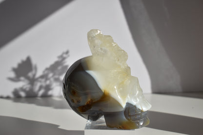 Large Agate Skull Carving with Dendritic 1kg