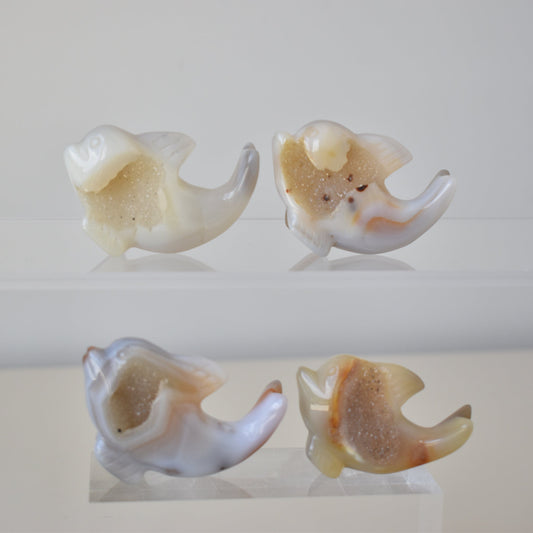 Agate Druzy Dolphin