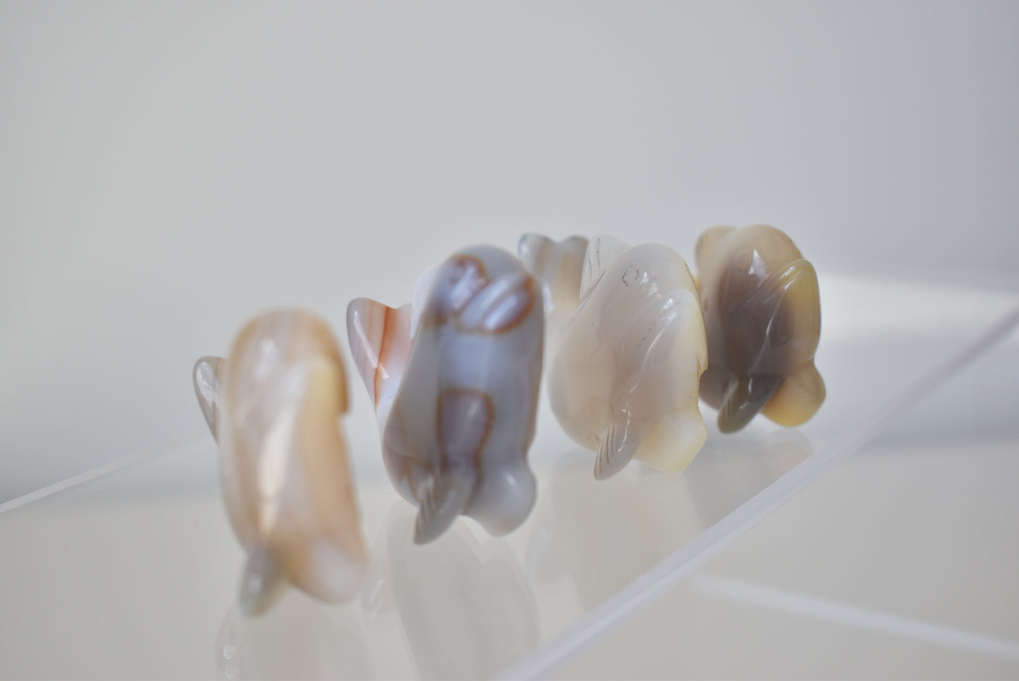 Agate Druzy Dolphin