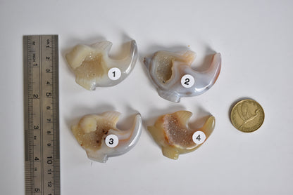 Agate Druzy Dolphin