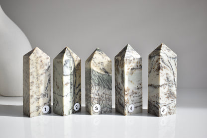 Dendritic Sage Jasper point