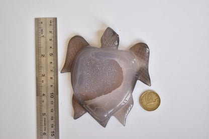 Agate Druzy Turtle (Large) 278g