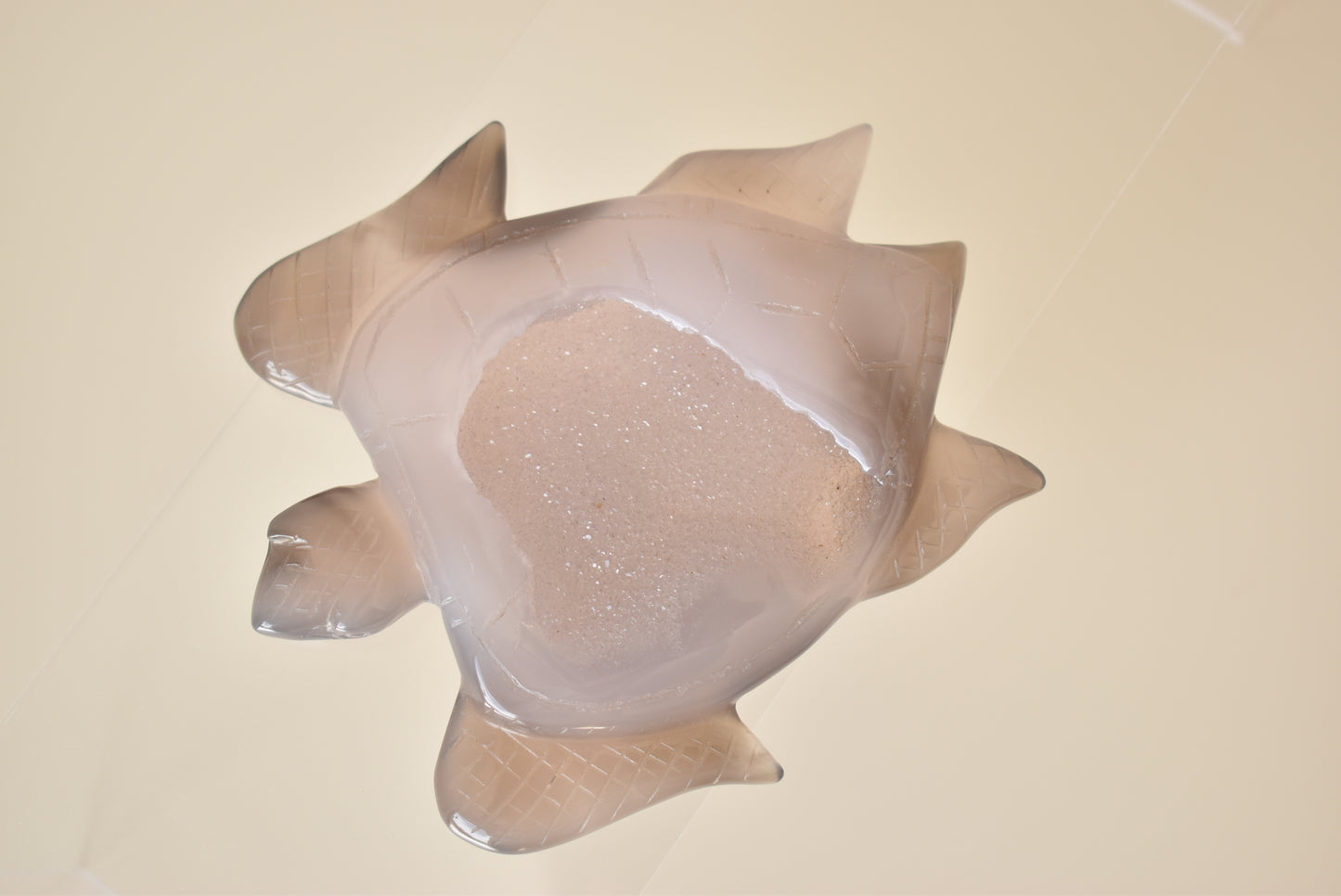 Agate Druzy Turtle (Large) 278g