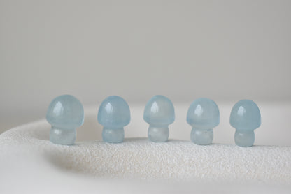 Baby Aquamarine Mushroom