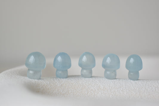 Baby Aquamarine Mushroom