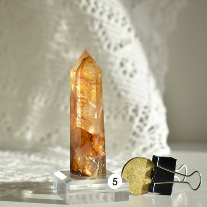 Golden Healer Quartz Point #5