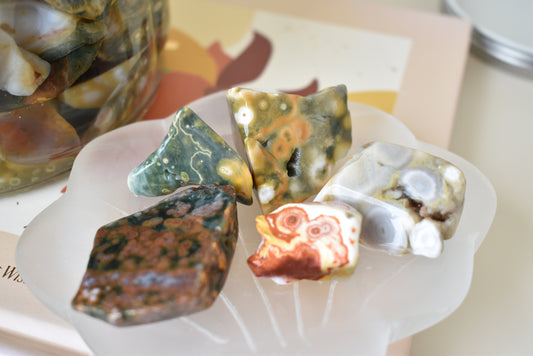 Orbicular Ocean Jasper Raw